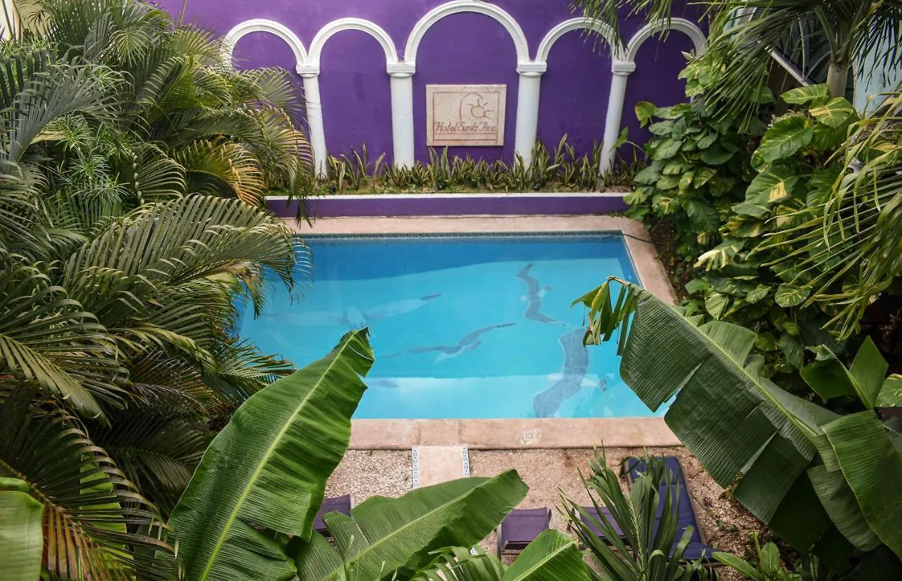 Hotel Santa Ana ميريدا 3*,